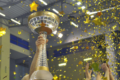 Bilety na Enea Cup 2014 Finału Pucharu Polski w piłce siatkowej kobiet